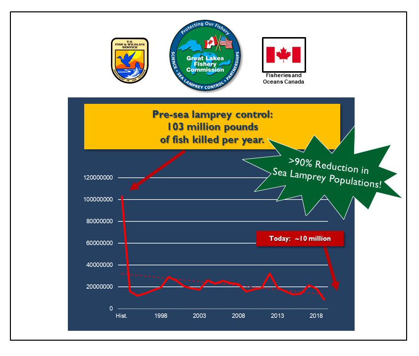 This is a line graph showing the pounds of fish killed per year by sea lamprey. Pre-sea lamprey control (denoted as historic on the graph) 103 million pounds per year. Today (2014) sea lamprey kill approximately 10 million pounds of fish per year, which represents a 90 percent reduction in sea lamprey populations. Above the graph are the logos for the Great Lakes Fishery Commission, U.S. Fish and Wildlife Service and Fisheries and Oceans Canada, the partners in the sea lamprey control program.
